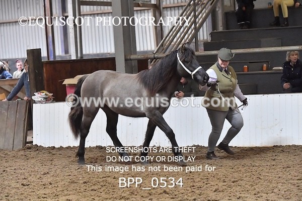 BPP_0534 - RING 1