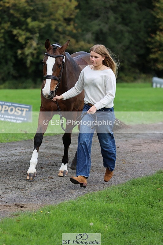 251026A-104347-23227 - F-406-Georgie.Down