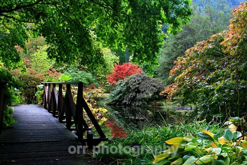 Benmore Gardens 2 - Landscapes