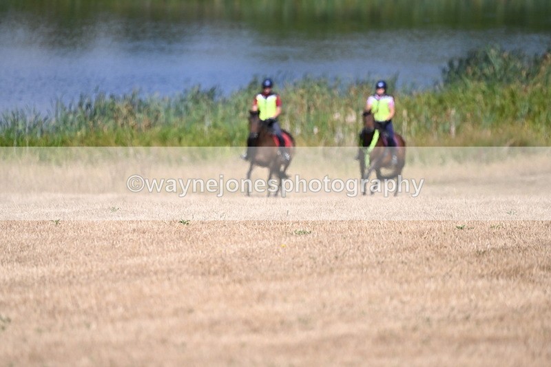 WJ6_8538 - Time 11:39 to 11:42