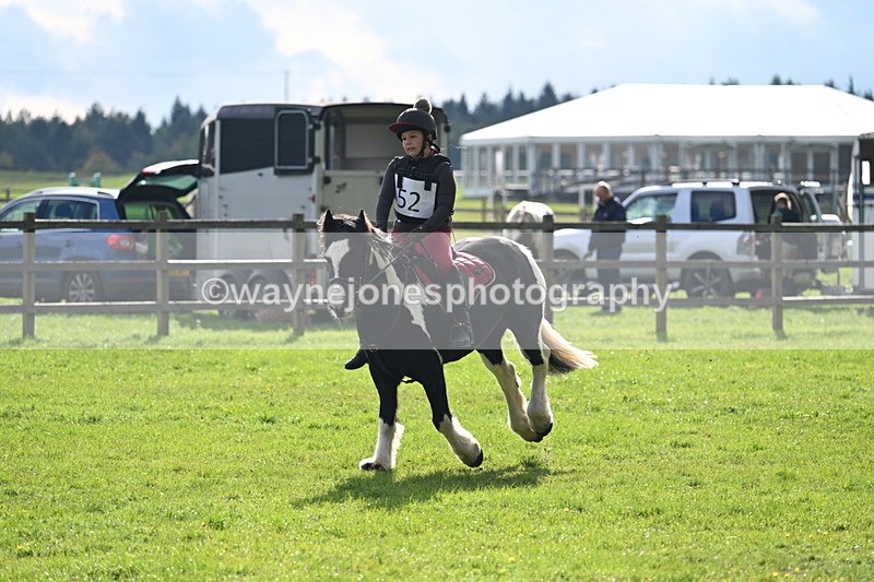 WJ7_3717 - 40cm Time 10:26 to 10:42