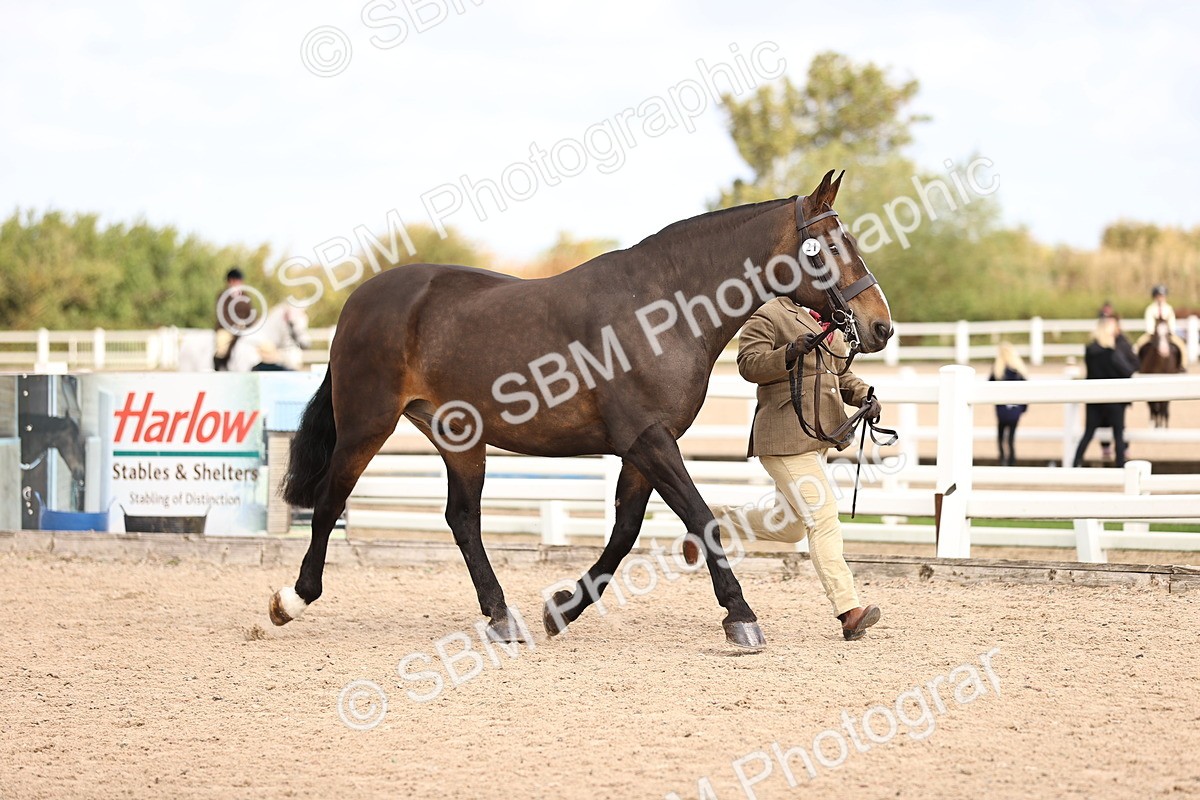 SBM_10358 - Class 405 - IH Show Cob