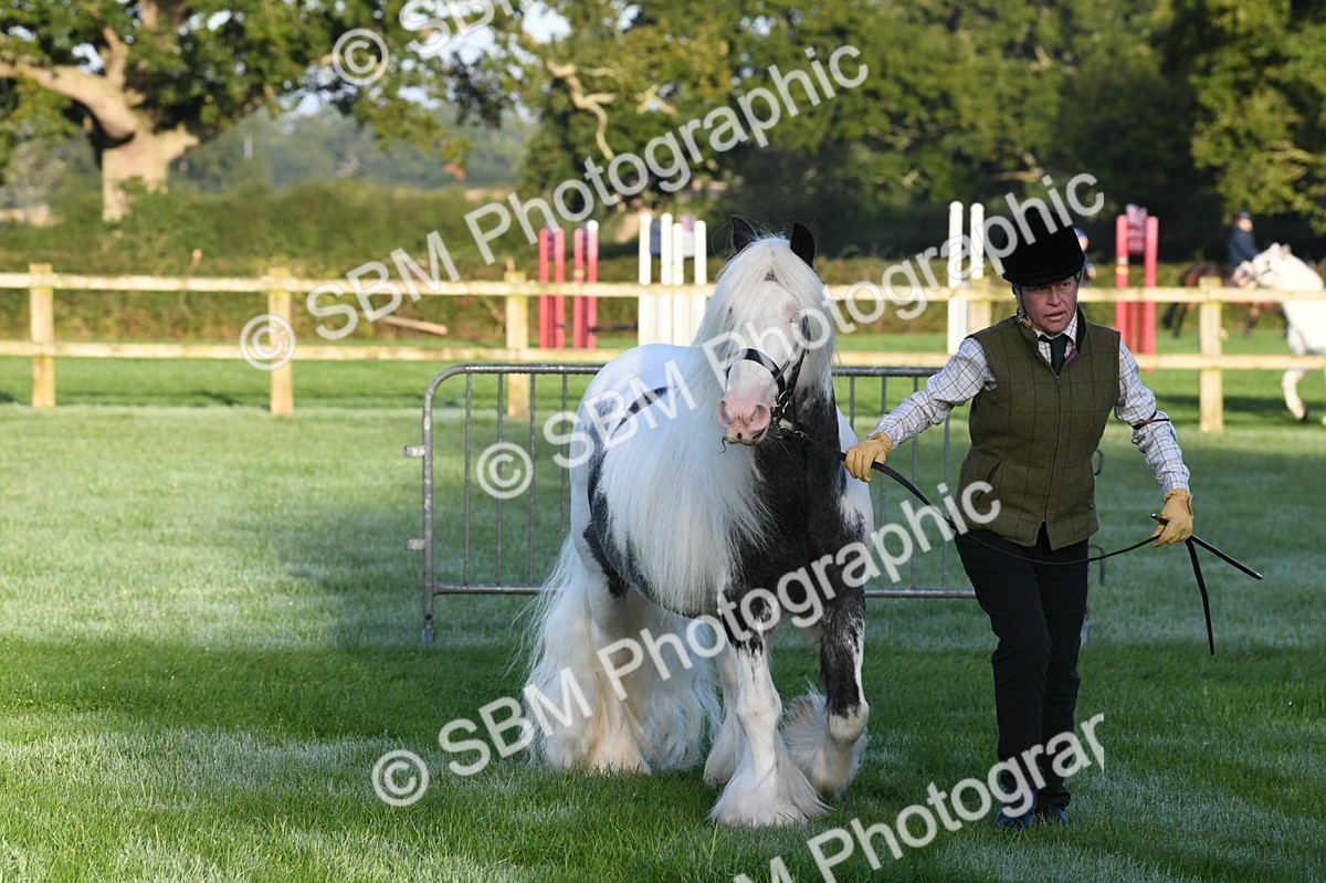 SBM_32557 - S15 - Condition & Turnout In Hand