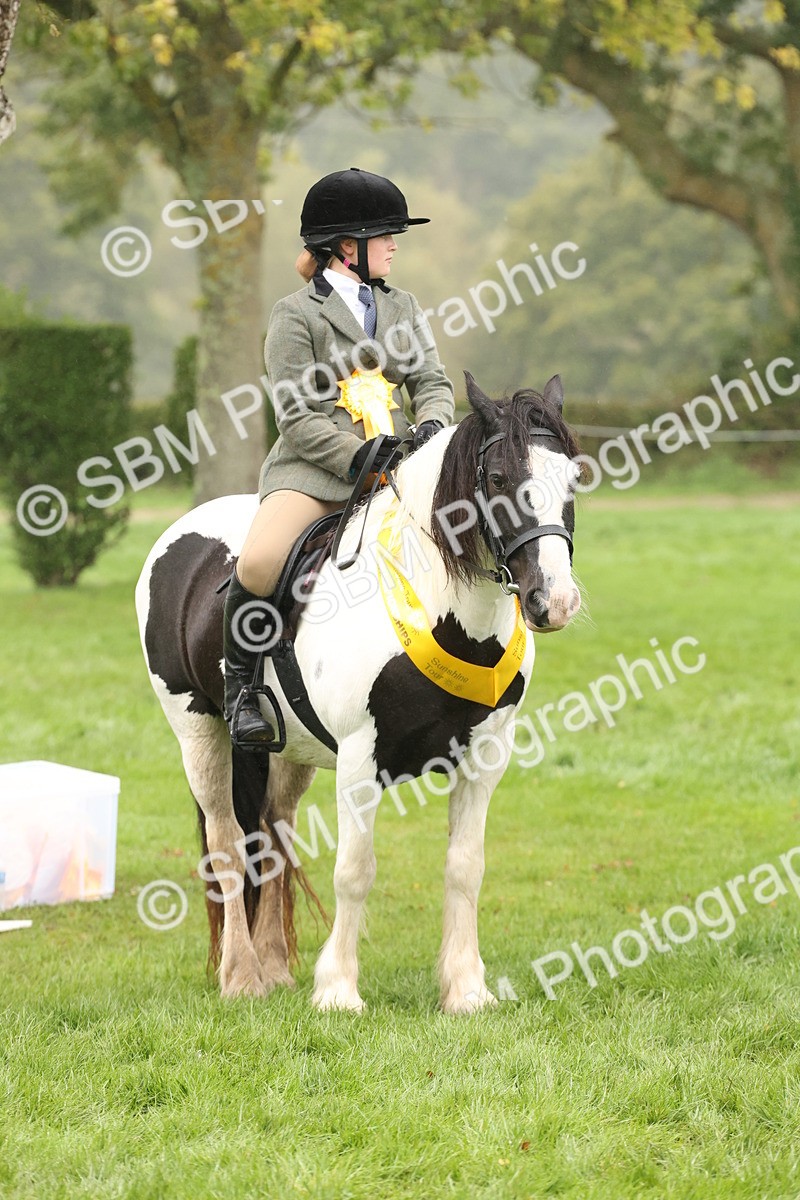 SBM_72933 - Ridden Horse Supreme Championship