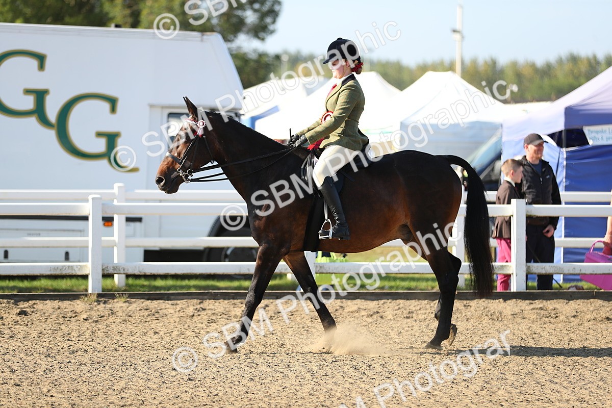 SBM_00498 - Class 41 Best Turned Out Ridden