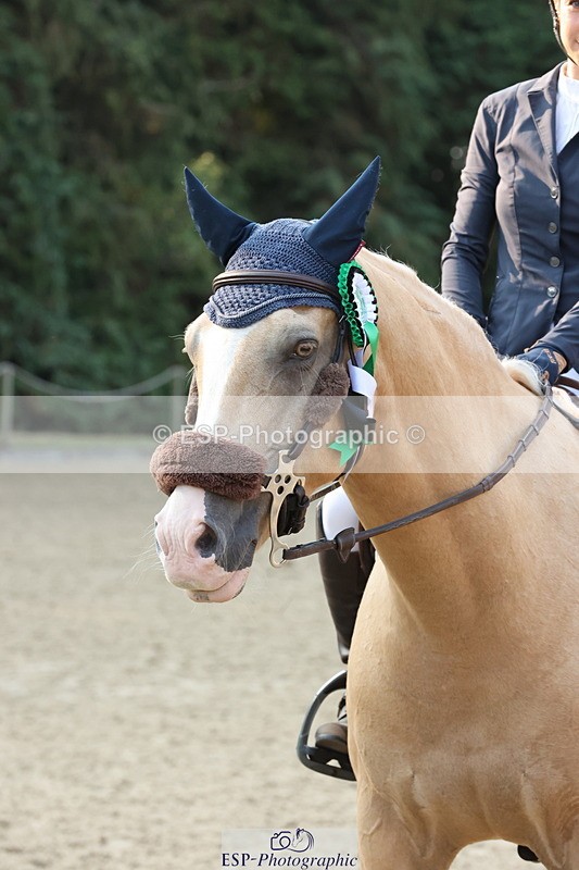 250816A-084641-00202 - Cls 1 Club 70cm