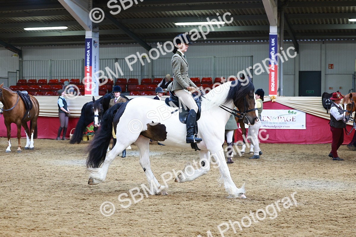 SBM_23500 - class 906 - Supreme Final - Ridden Pre Vet