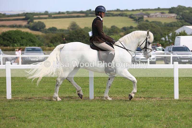 JPP_3872 - Class 23: Working Hunter 80cm