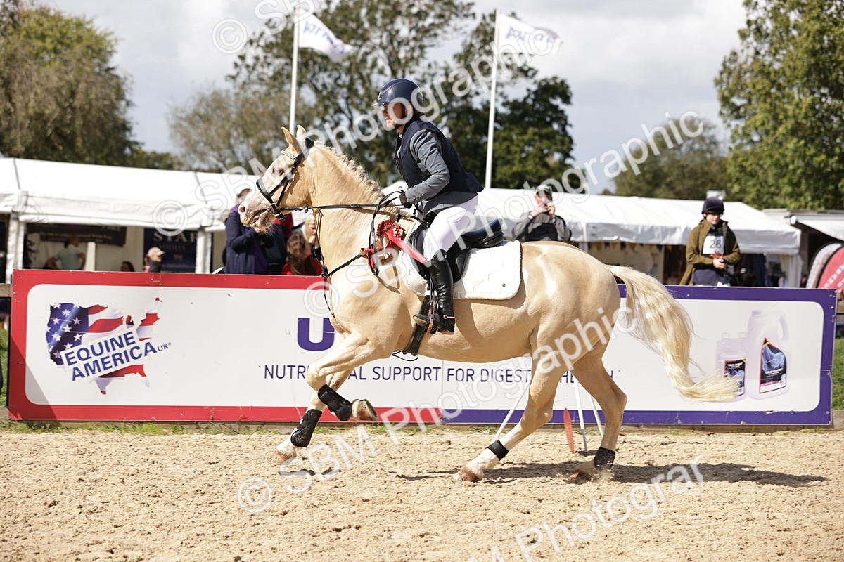 SBM_18614 - Supreme Championship