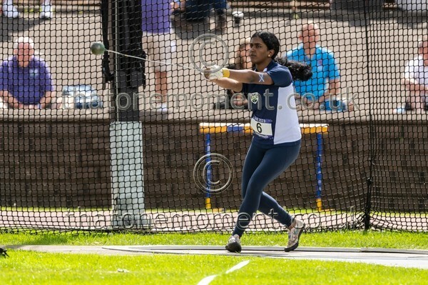 SIAB23-913015 - Field Female Set One