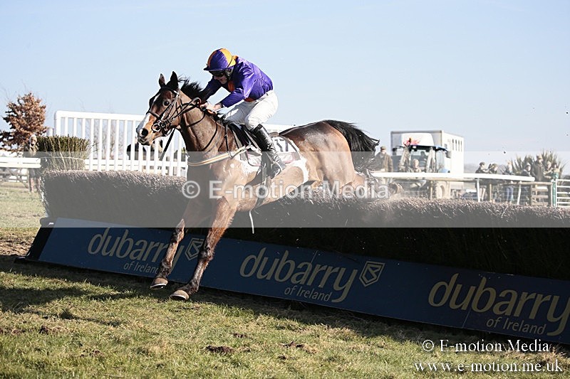 PtP 240218 389 - Vine & Craven Hunt Point-to-Point Barbury racecourse 24/02/18