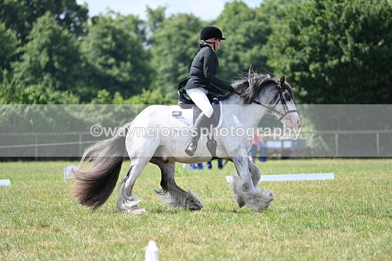 WJ7_3719 - Time 10:28 to 10:42