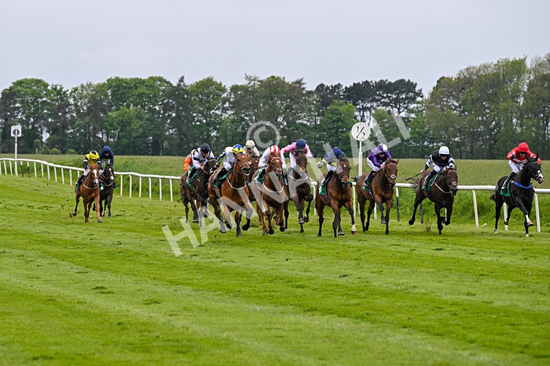 160526-Race 6-Empire Of Light-9949 - Race 6 4.47pm Sky Bet Club Handicap