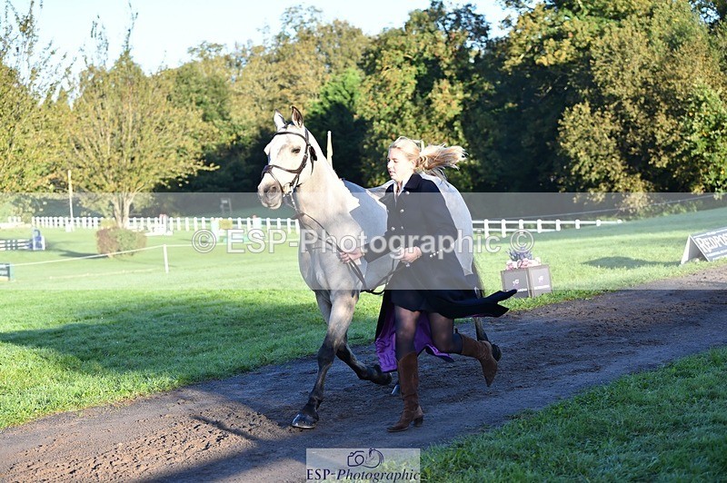 231022-090240-21526 - 619-GARVAGH.GOLDEN.OAK-Ella.Snow-TrotUp+SJ