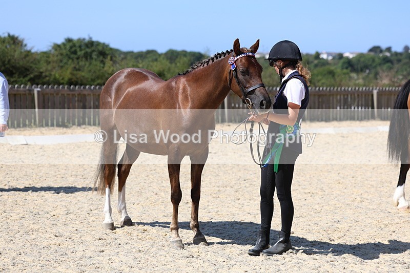 3E7A9907 - In Hand Championship