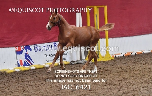 JAC_6421 - 19 Luca