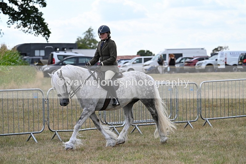 WJ7_4939 - Class 12 Ridden Cob