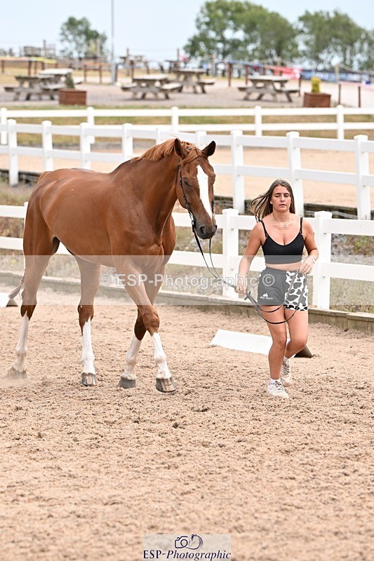 250716-144508-01362 - Trot Up 2.30 to 3.30