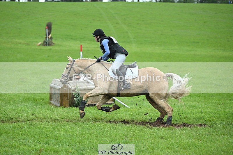 250419-130018-10729 - 523-Kate.Hicks-SWALLOWCROFT.STARDUST