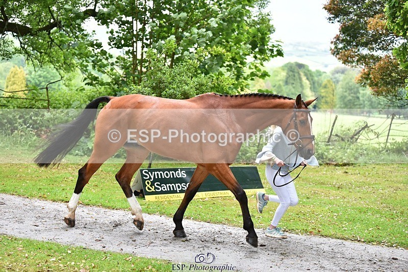 240522-160516-00702 - 152-MODRIX_DOR_VAN_DE_MISPELAERE-Annabel_Walsh