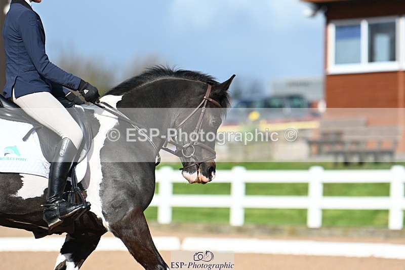 240323A-151105-02397 - UnA Novice 28