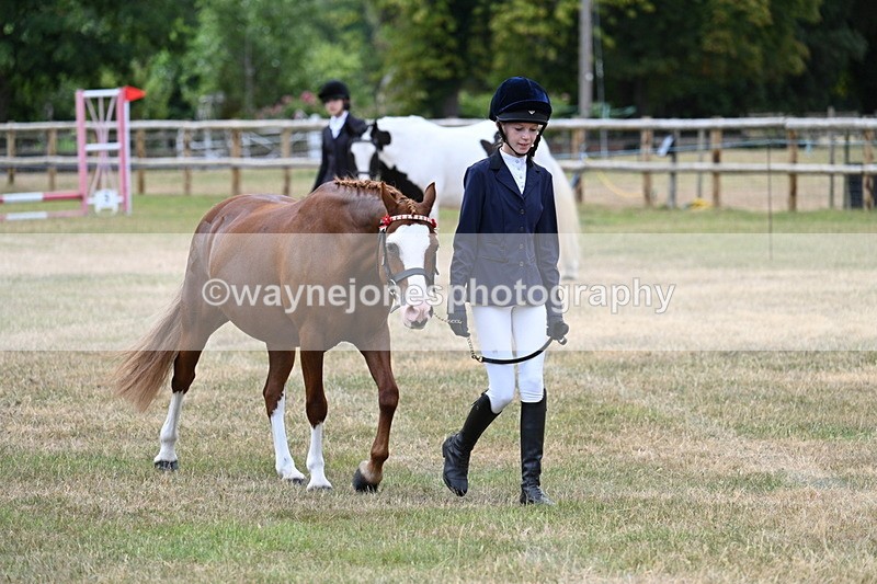 WJ7_1449 - Class 4 Prettiest Mare up to 14.2hh in hand