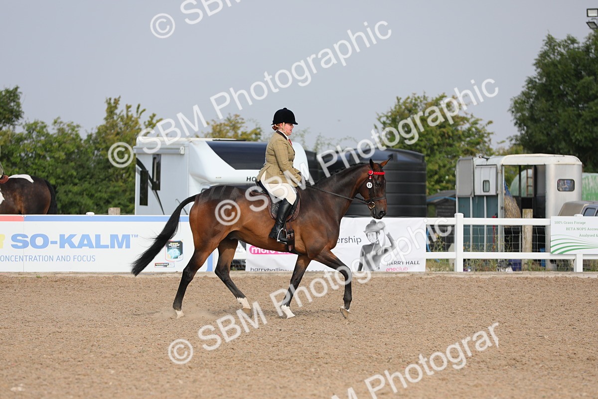 SBM_10661 - Class 303 Ridden Pure Bred Horse/Pony (excl M&M)
