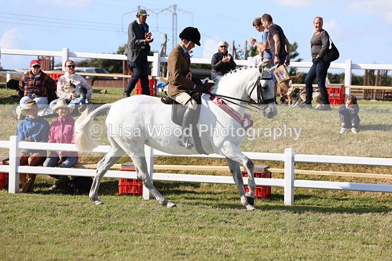 3E7A4259 - Supreme Championship