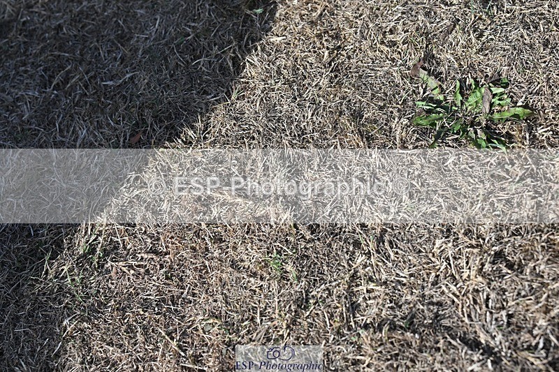 250821A-164242-18047 - All Presentations