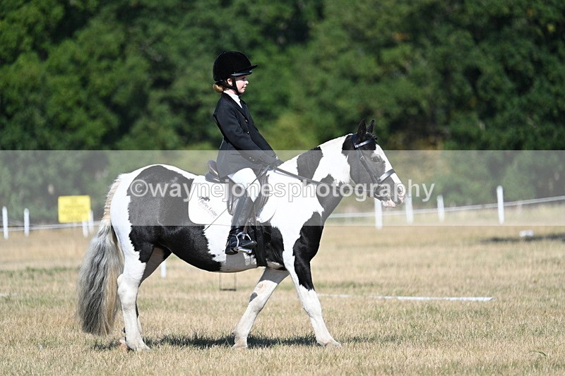 WJ7_9396 - Time 10:08 to 10:13