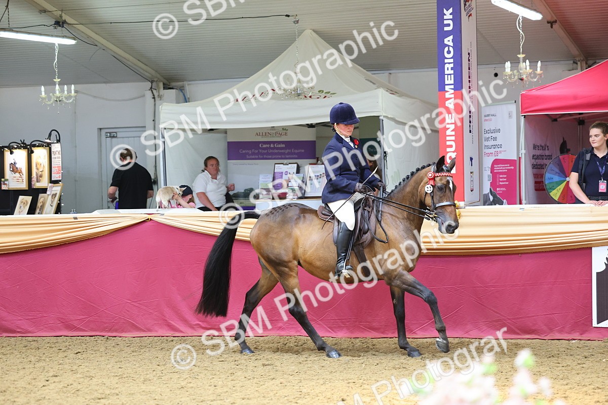 SBM_24065 - Class 905 - Supreme Final - Ridden Veteran