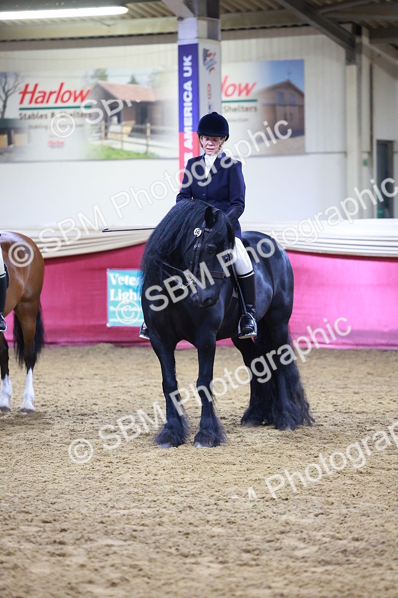 SBM_15262 - Class P - M&M Champ