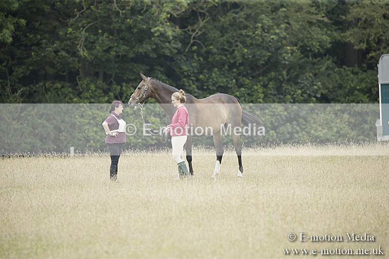 B230619-0632 - Bourne Valley Riding Club Summer Show 23/06/19