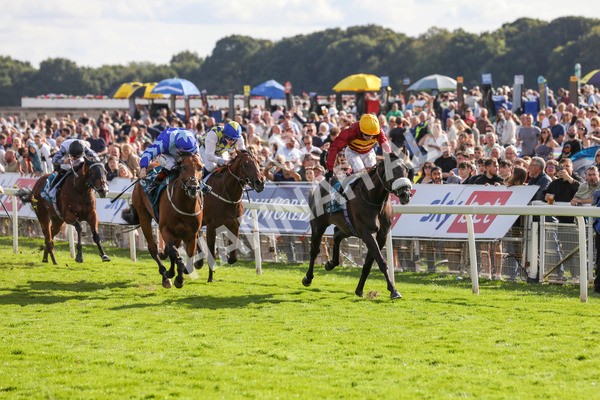 240824-Race 6-Tropical Storm-9202 - Race 6 4.45pm Julia Graves Roses Stakes