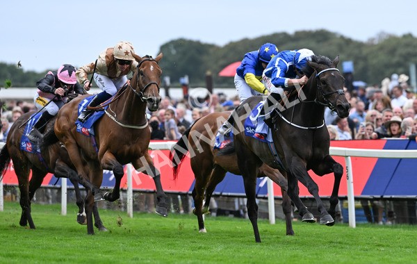 200825-218 Santorini Star - Race 5 4.10pm Sky Bet Stayers Handicap