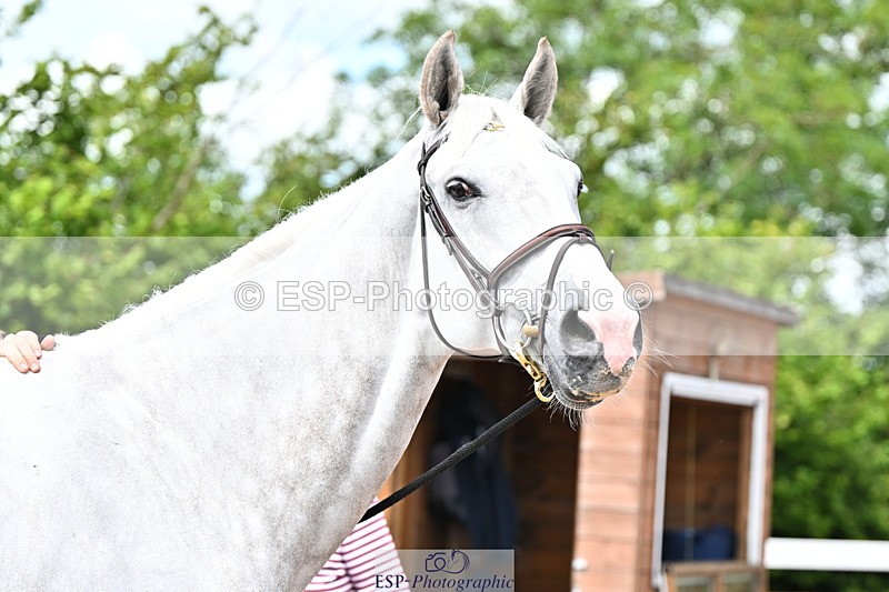 240718A-105254-01311 - Trot Up 12pm to 1pm