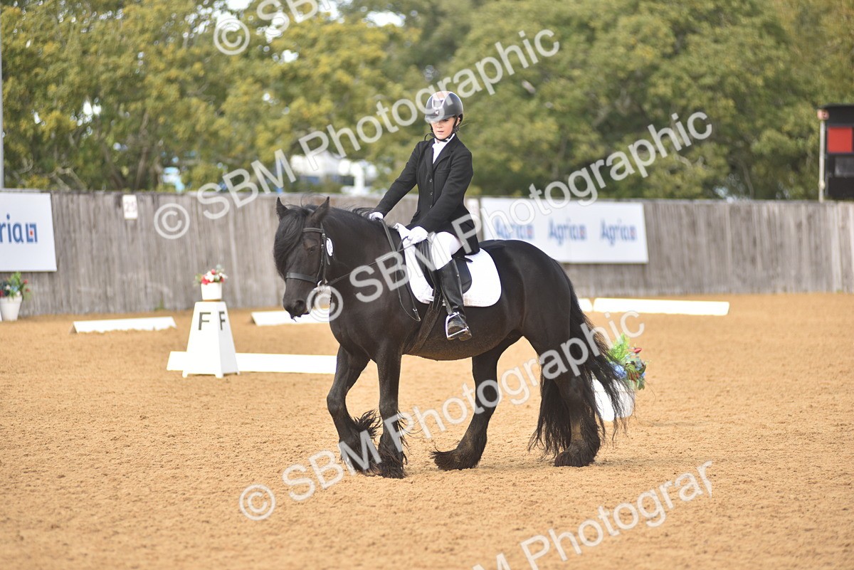 SBM_48798 - D22 - Junior Championship Intro 3