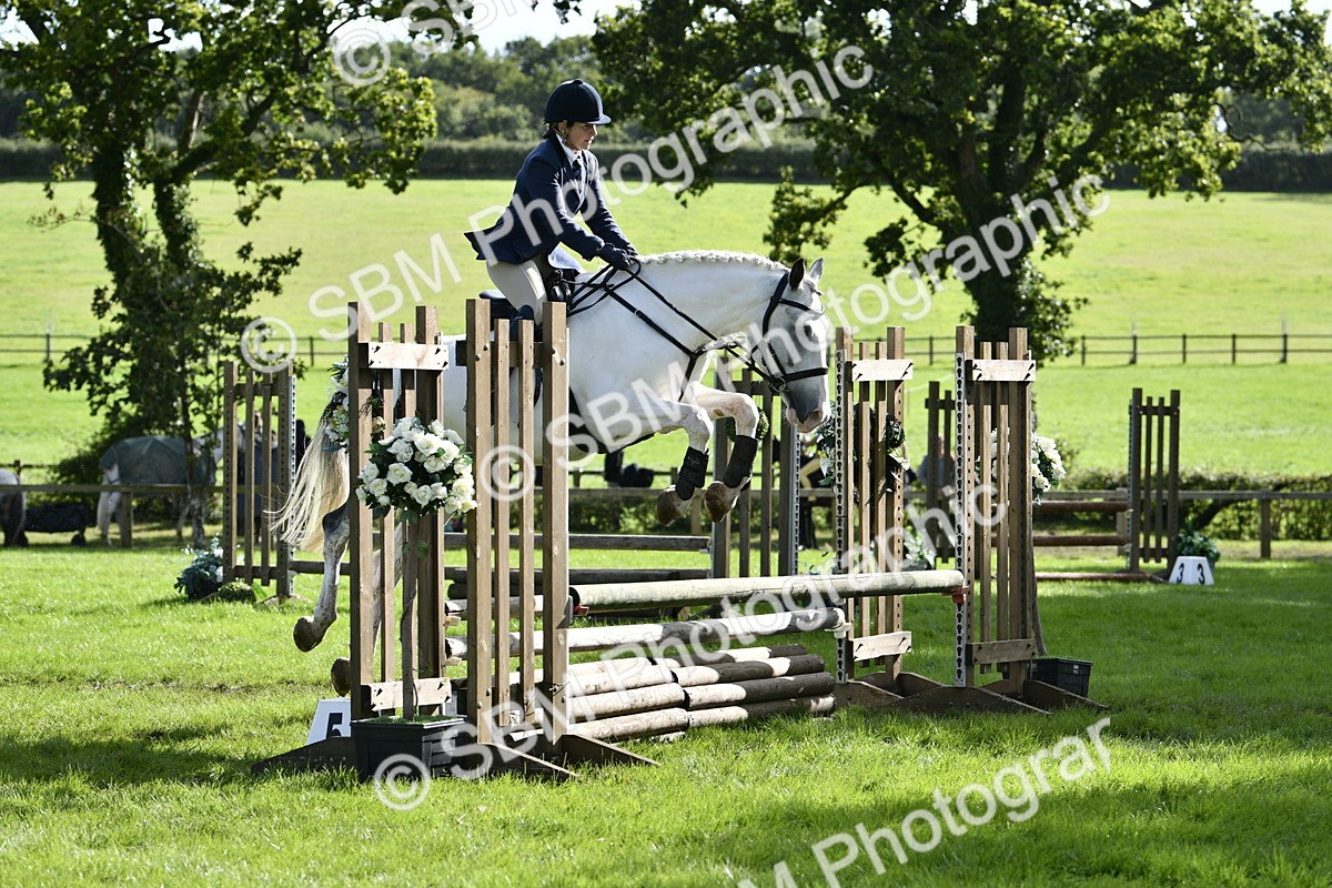 SBM_49967 - S34 - Novice & Newcomers Working Hunter