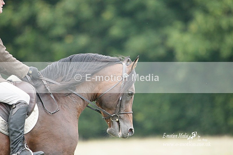 BVRC 030721 193 - Bourne Valley Riding Club Dressage 03/07/21