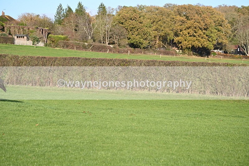 WJ6_3296 - Camera A