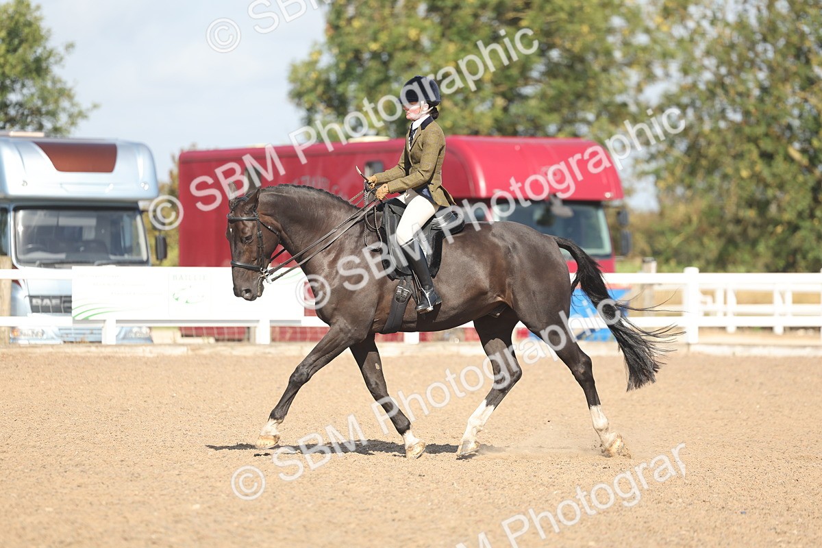 SBM_22665 - Class 805 - Ridden Veteran Horse