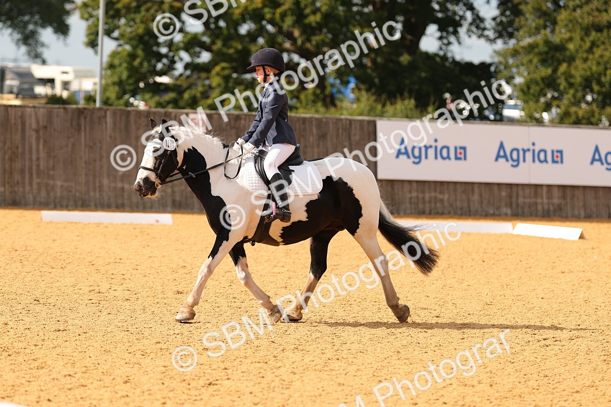 SBM_48293 - D22 - Junior Championship - Intro B