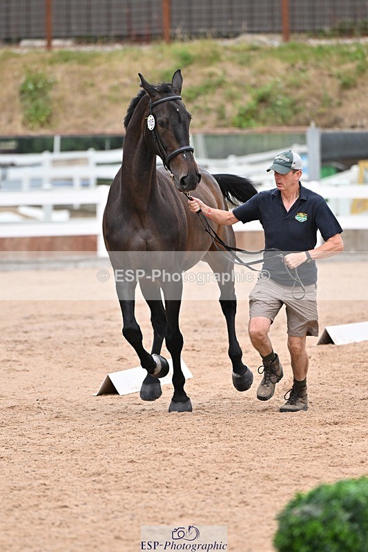 250716-141735-00996 - Trot Up 1.30 to 2.30