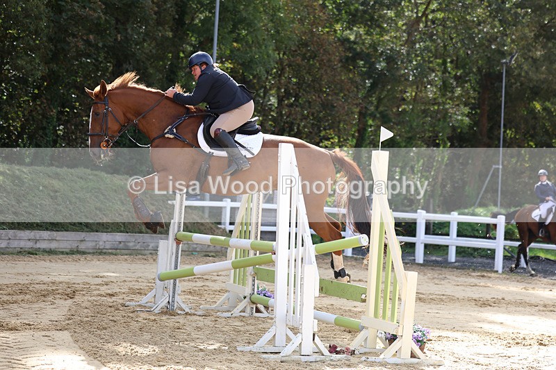 3E7A2123 - Class 4: Senior British Novice/90cm open