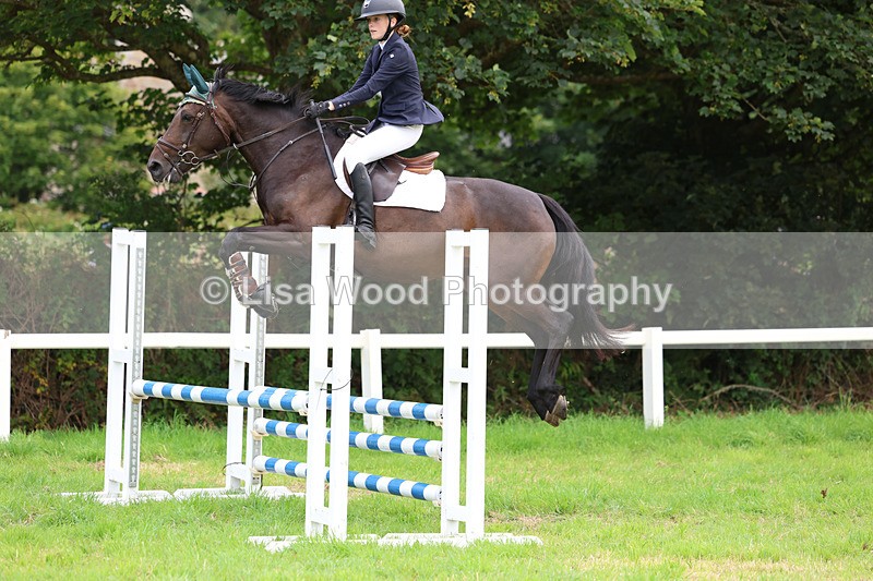 3E7A7008 - Class 5: Senior British Novice/90cm open