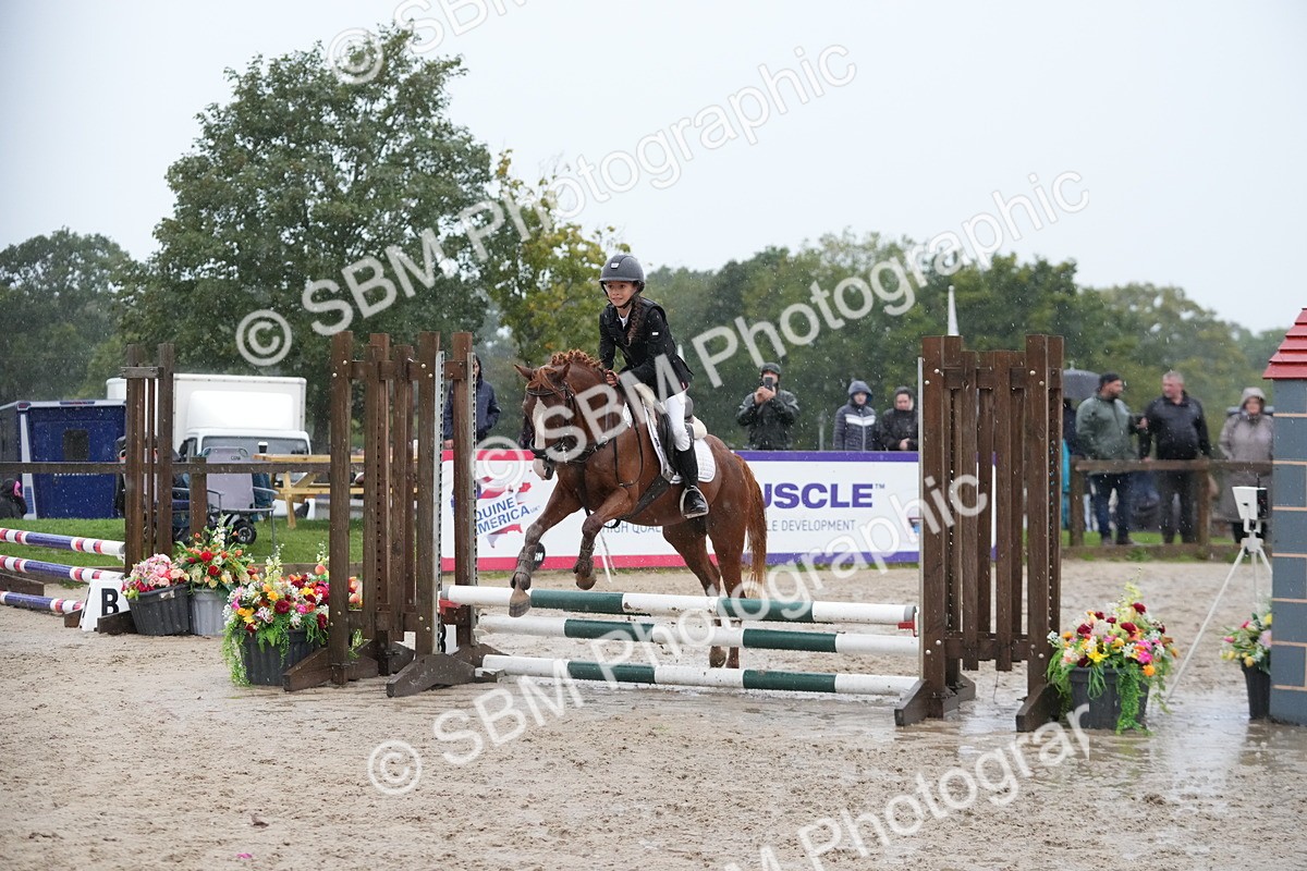 SBM_36185 - J5 - Junior Pony 50cm Championship