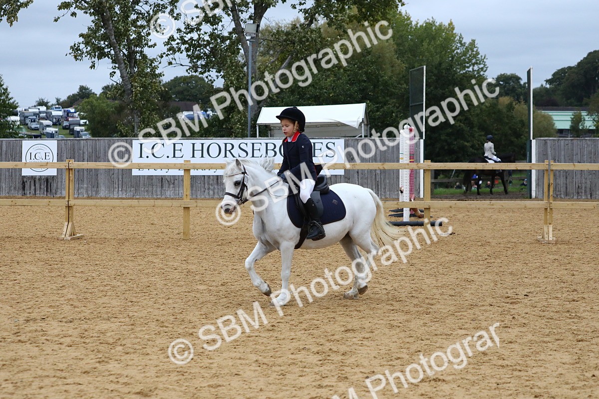 SBM_68380 - J3b - Mini Tour Junior Pony 40cm Championship