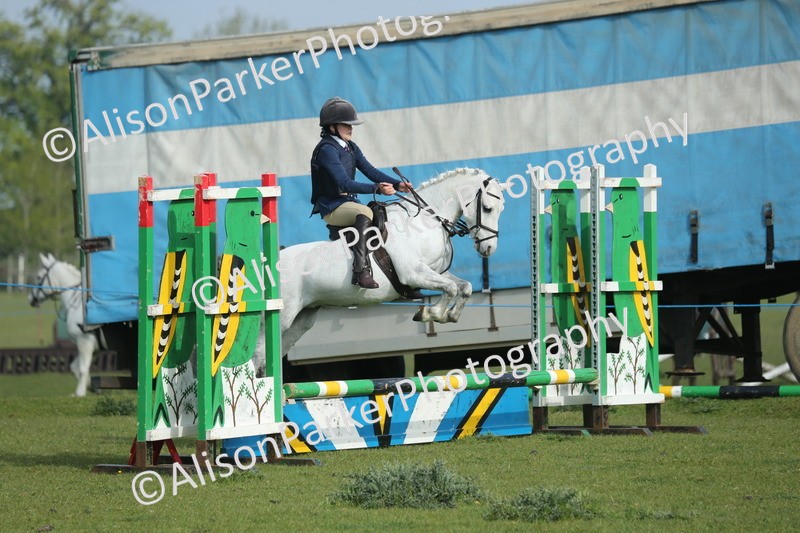 20260426-0103 - Class 13 - Rookie Jumping 50cm