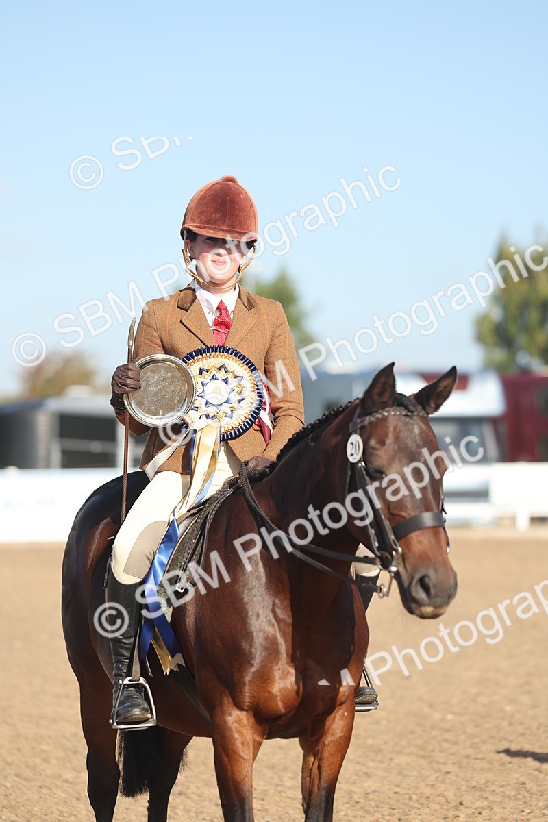 SBM_22136 - Class 801 - Ridden Veterans