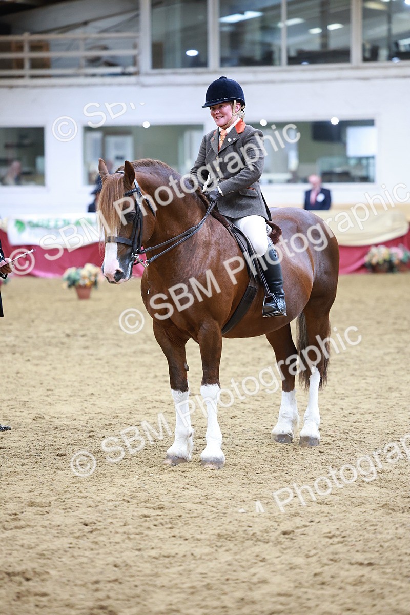 SBM_18823 - Class 952 - M&M Ridden Supreme Final